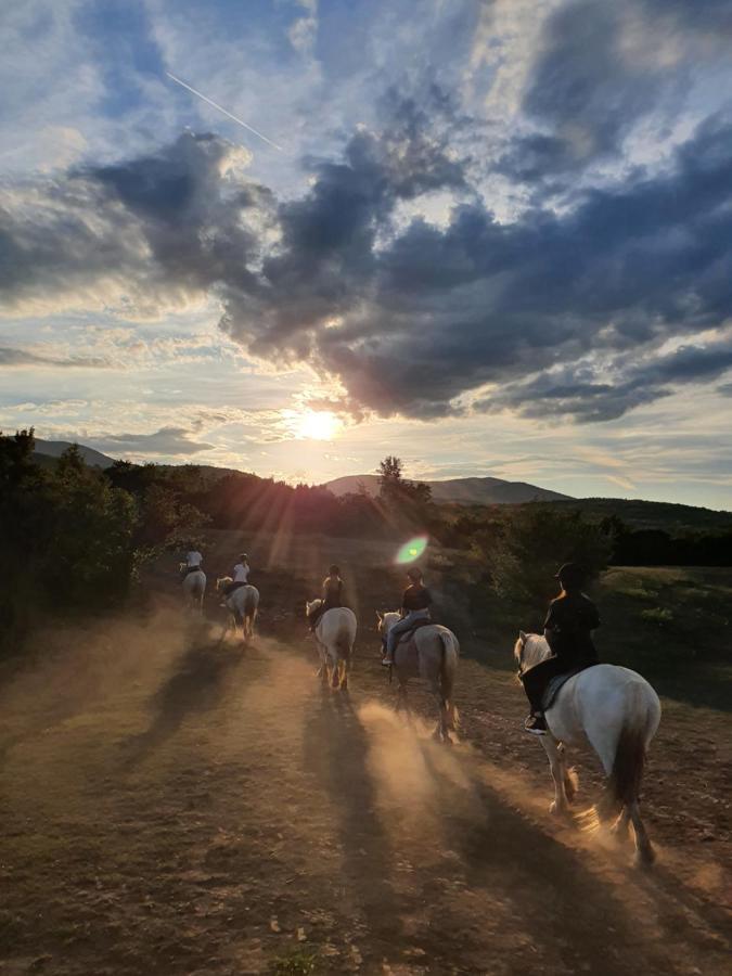 Hotel Ranch Terra Irinovac Exteriér fotografie
