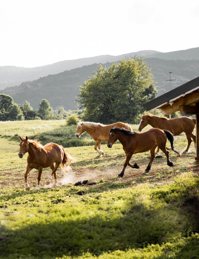 Hotel Ranch Terra Irinovac Exteriér fotografie