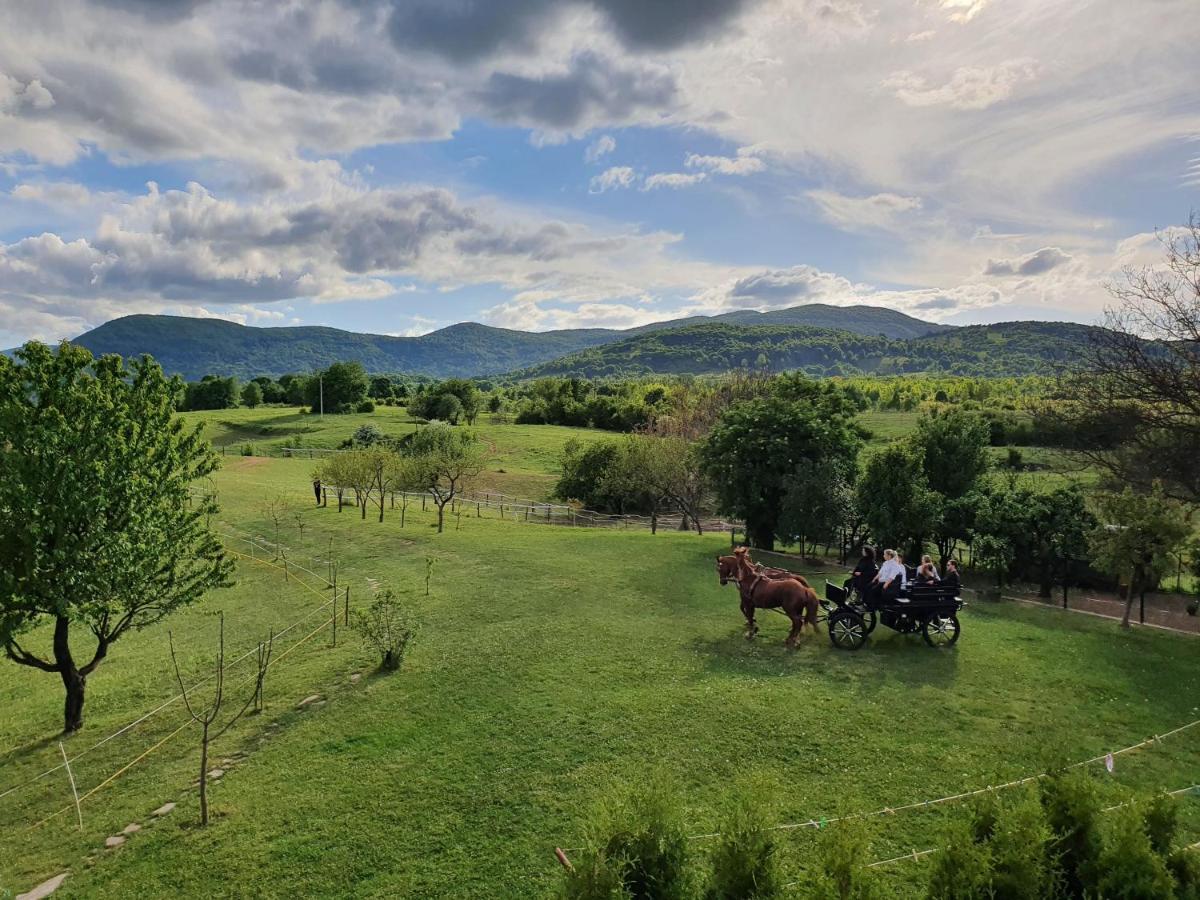 Hotel Ranch Terra Irinovac Exteriér fotografie