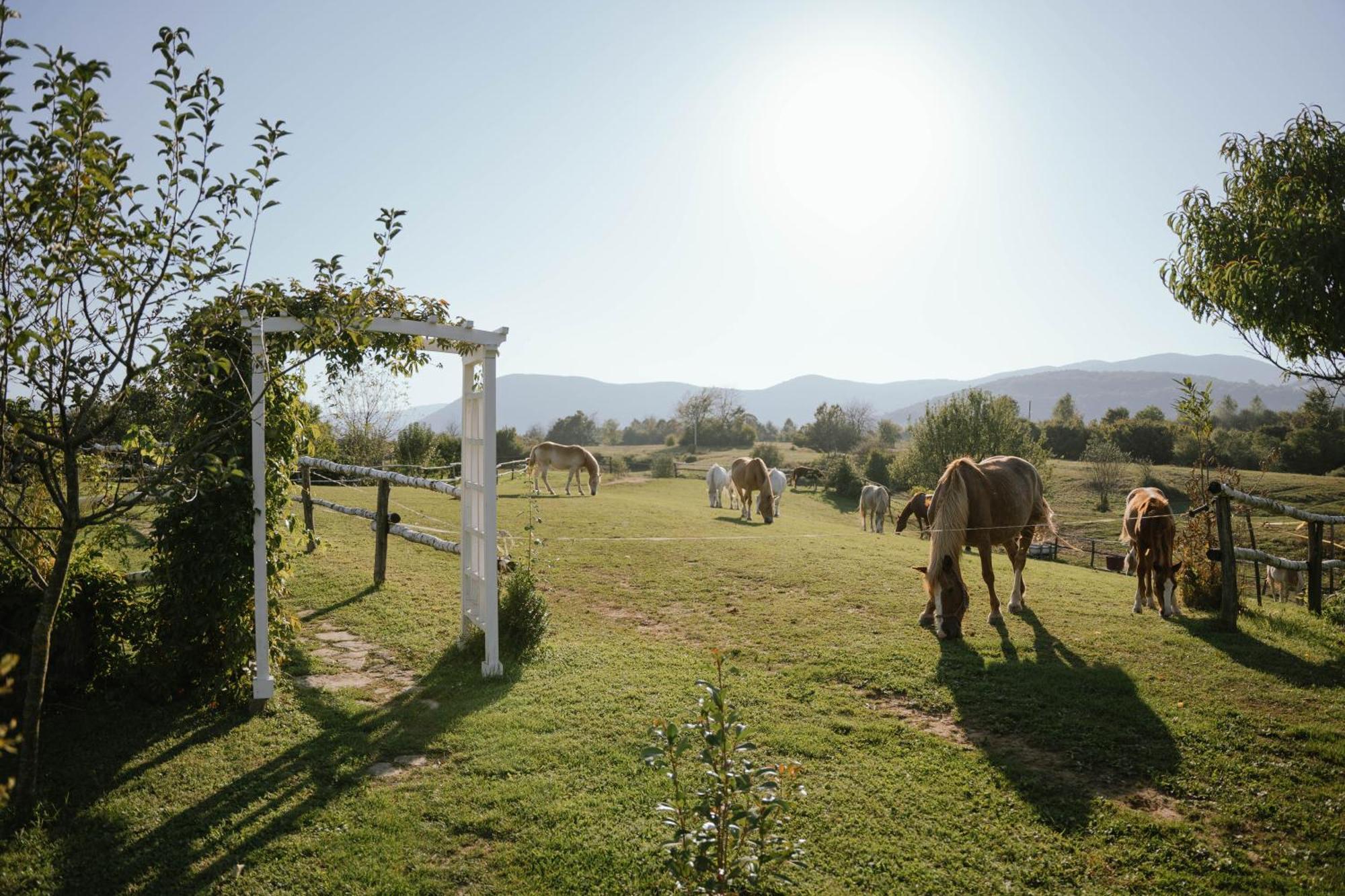 Hotel Ranch Terra Irinovac Exteriér fotografie