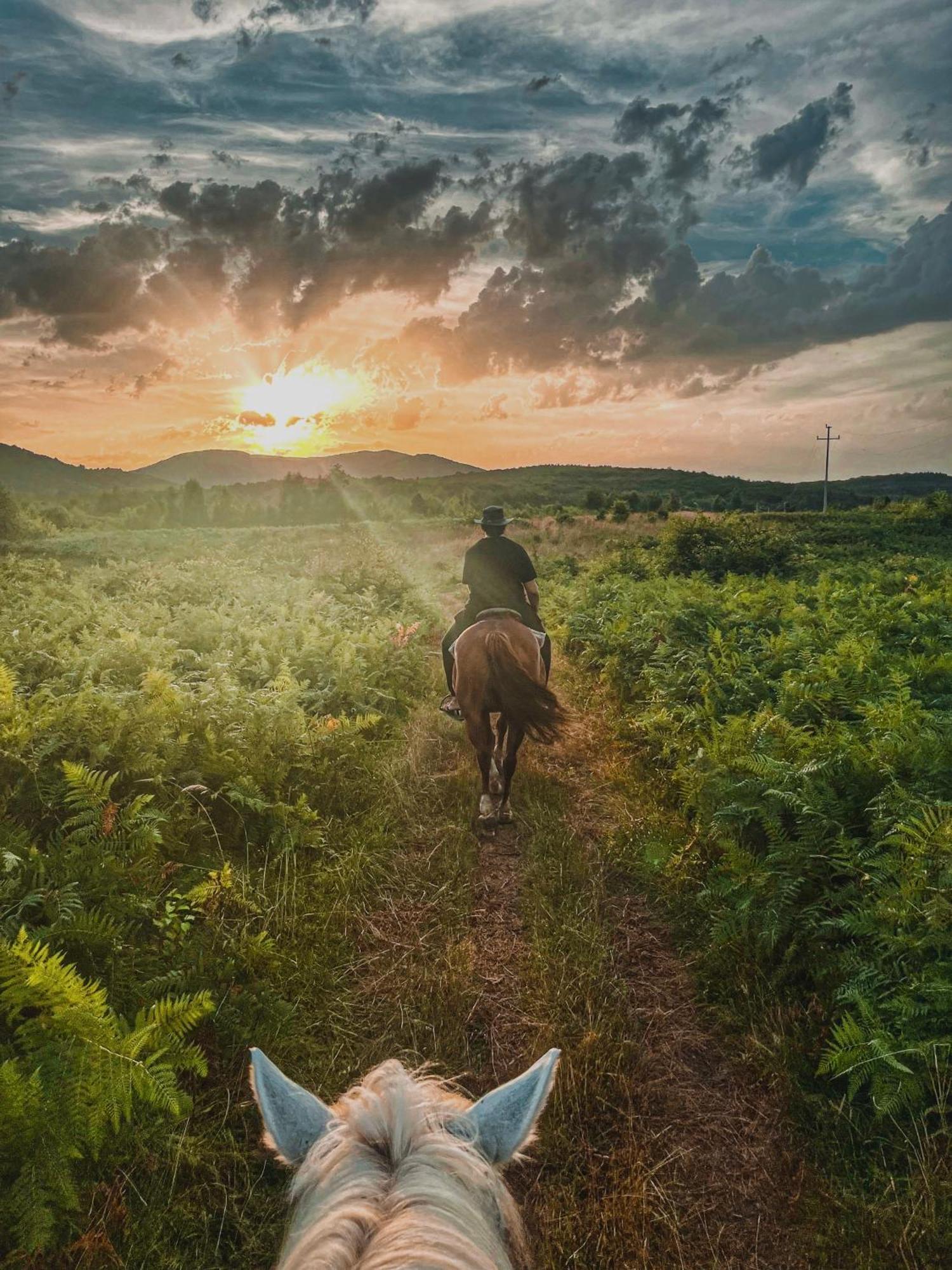 Hotel Ranch Terra Irinovac Exteriér fotografie
