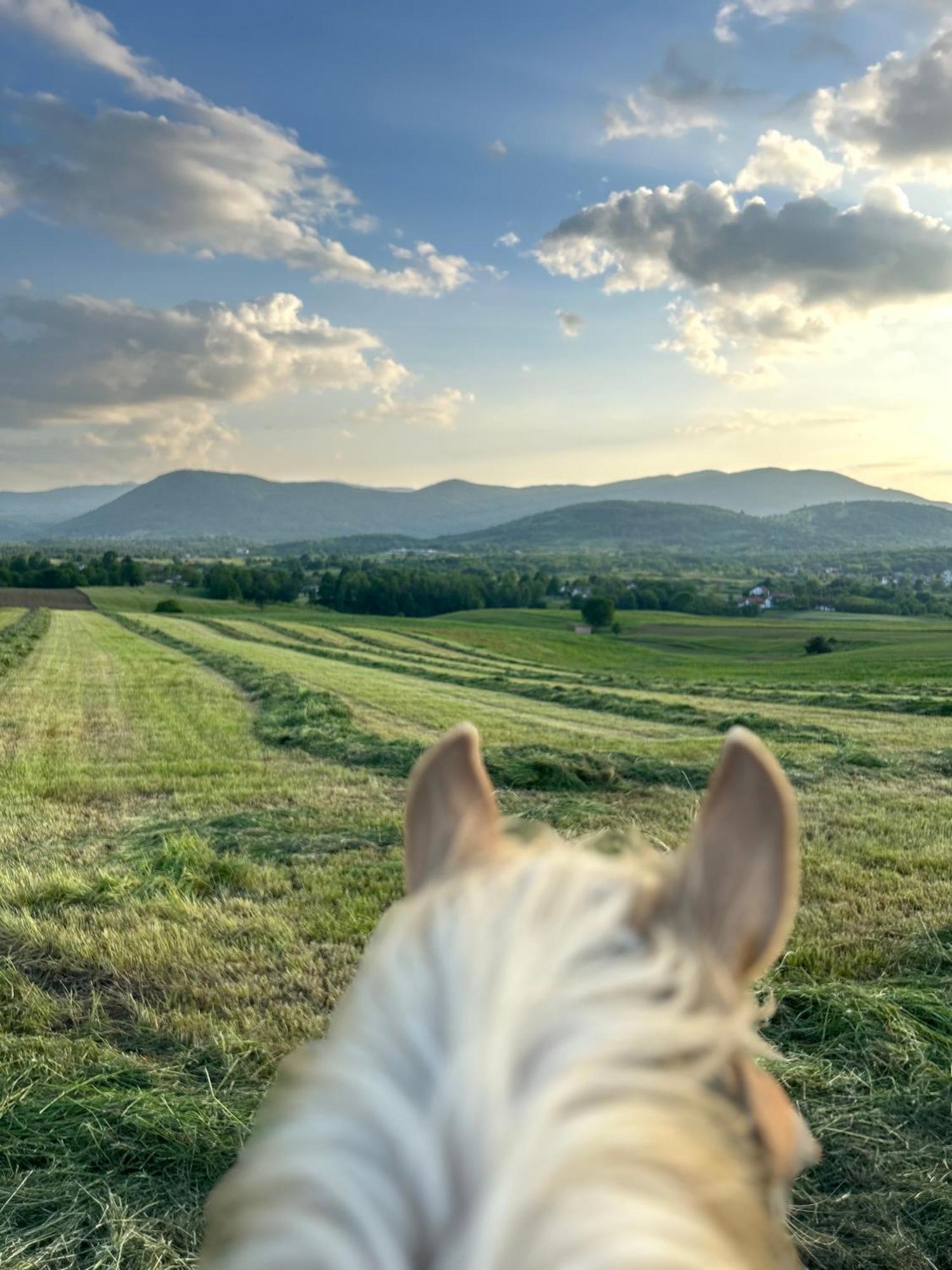 Hotel Ranch Terra Irinovac Exteriér fotografie