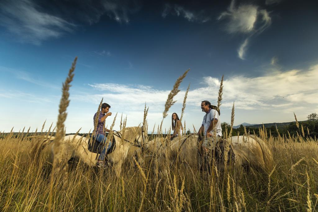 Hotel Ranch Terra Irinovac Exteriér fotografie