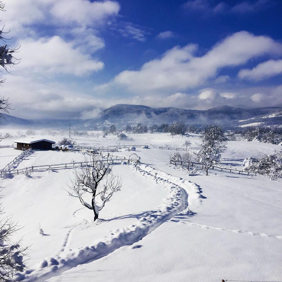 Hotel Ranch Terra Irinovac Exteriér fotografie