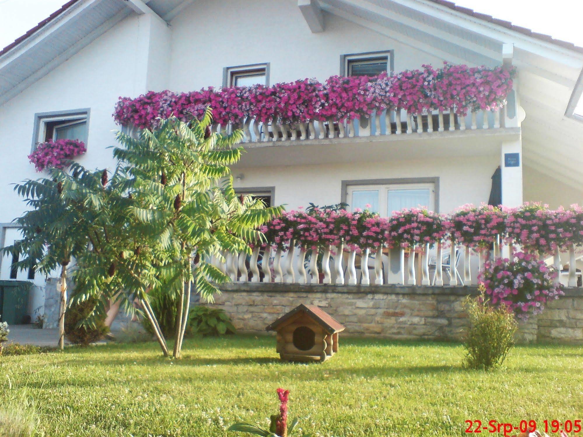 Hotel Ranch Terra Irinovac Exteriér fotografie