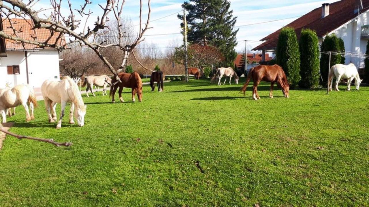 Hotel Ranch Terra Irinovac Exteriér fotografie